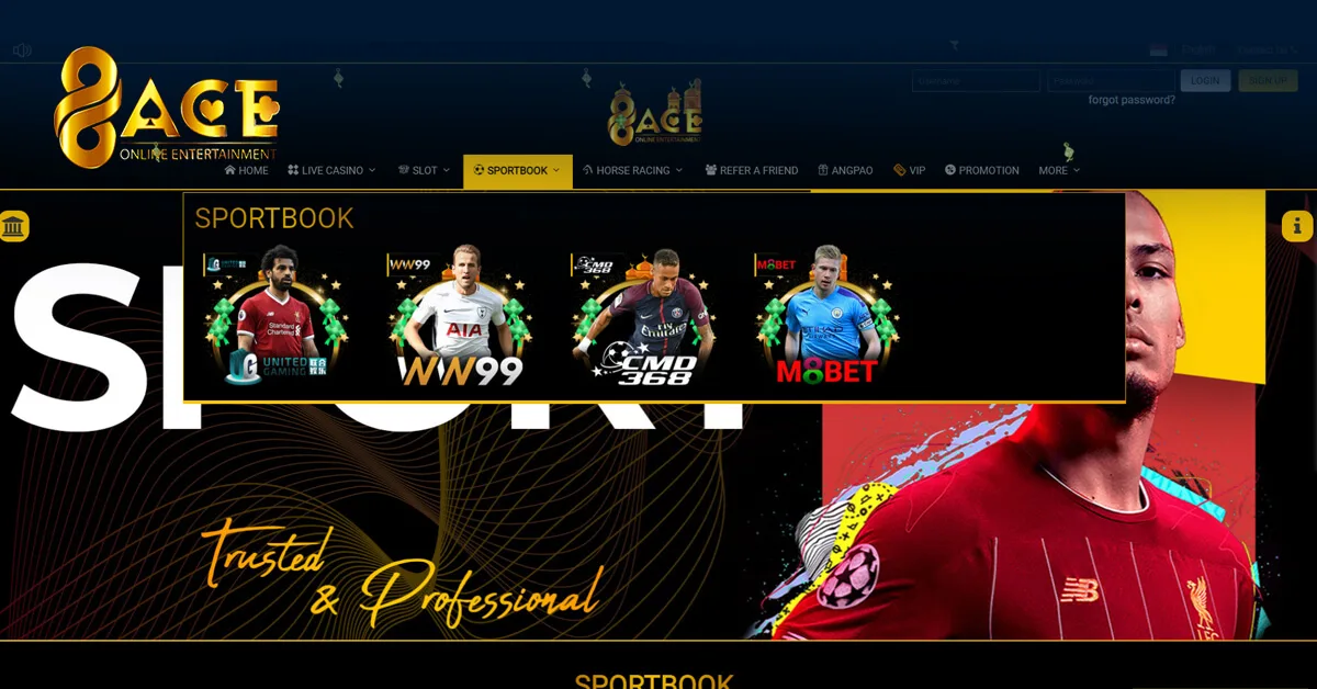 96Ace sportsbook