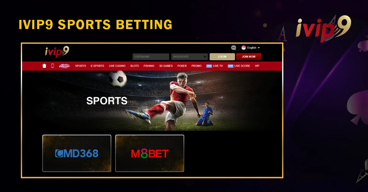 Sports Betting
